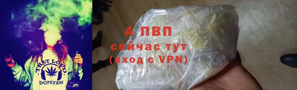 экстази Корсаков