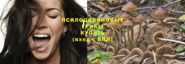 прущие крисы Костерёво
