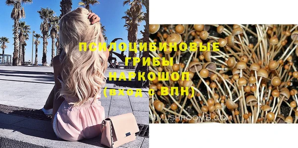 индика Козловка